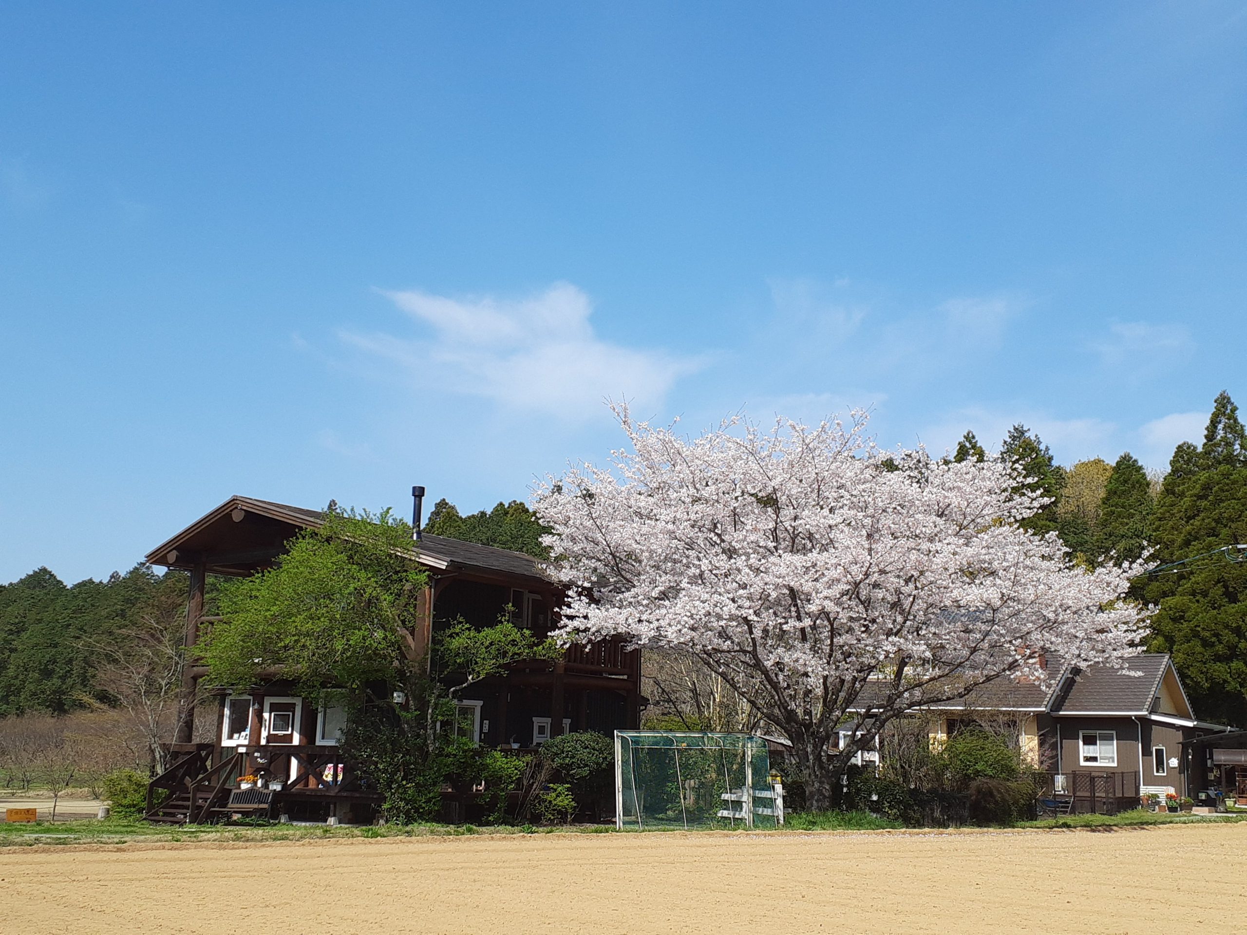 旅宿 ラッシー