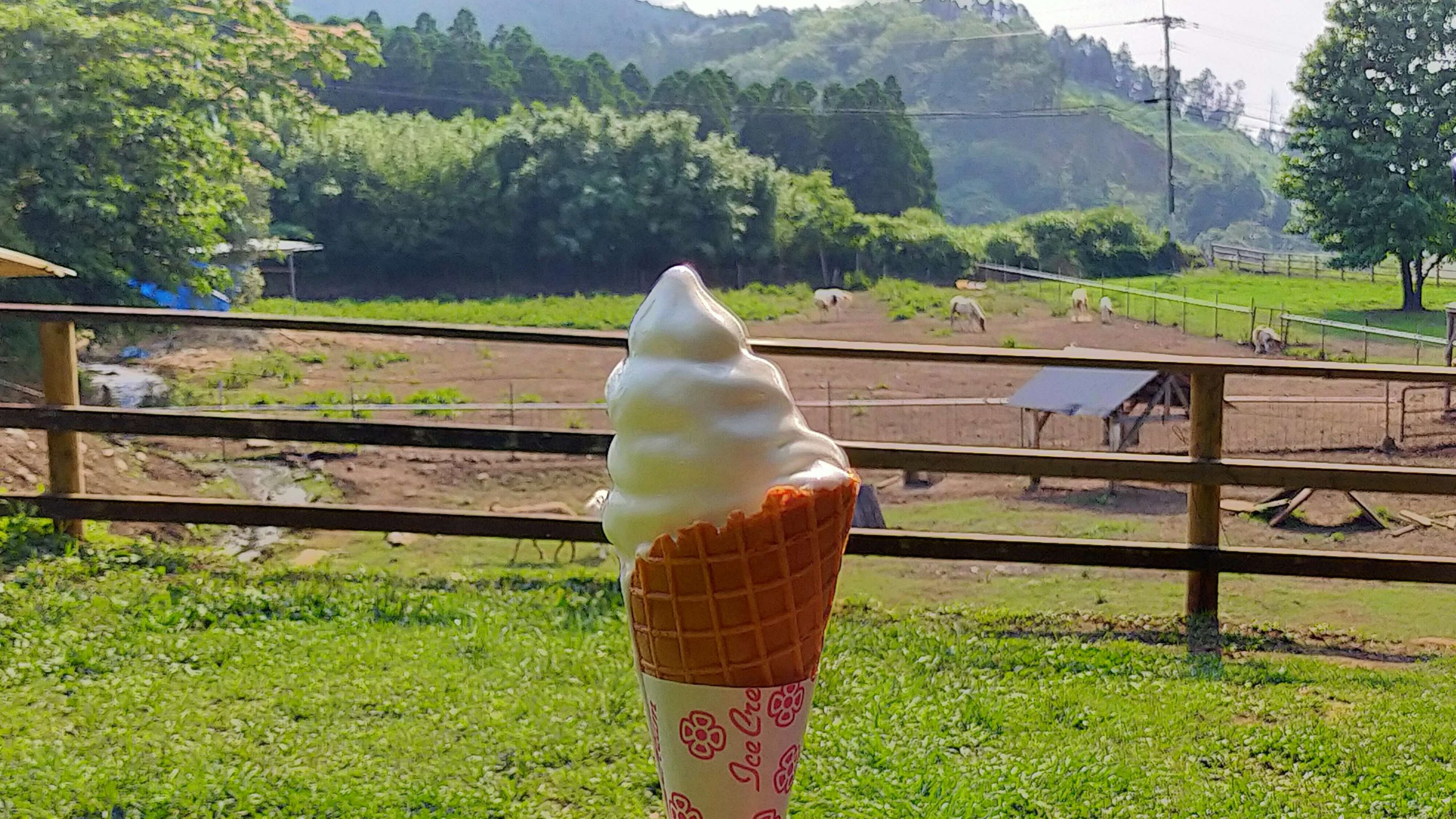 山田牧場 ミルクの里ソフトクリーム